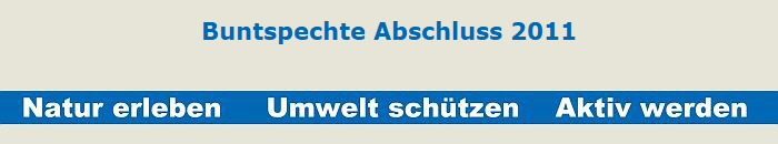 Buntspechte Abschluss 2011