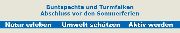 Buntspechte und Turmfalken
Abschluss vor den Sommerferien