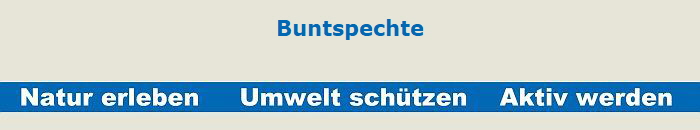 Buntspechte