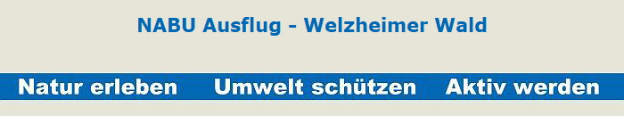 NABU Ausflug - Welzheimer Wald