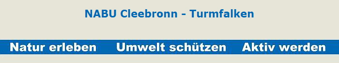 NABU Cleebronn - Turmfalken