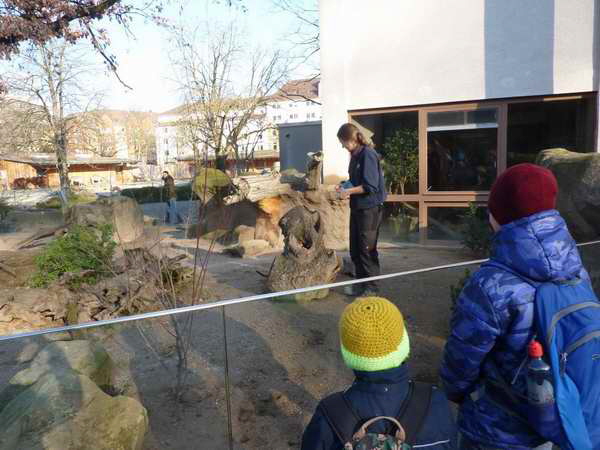 Trashbuster des NABU Cleebronn