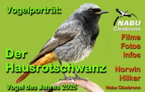 Fr weitere Infos bitte klicken...