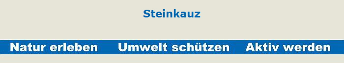 Steinkauz